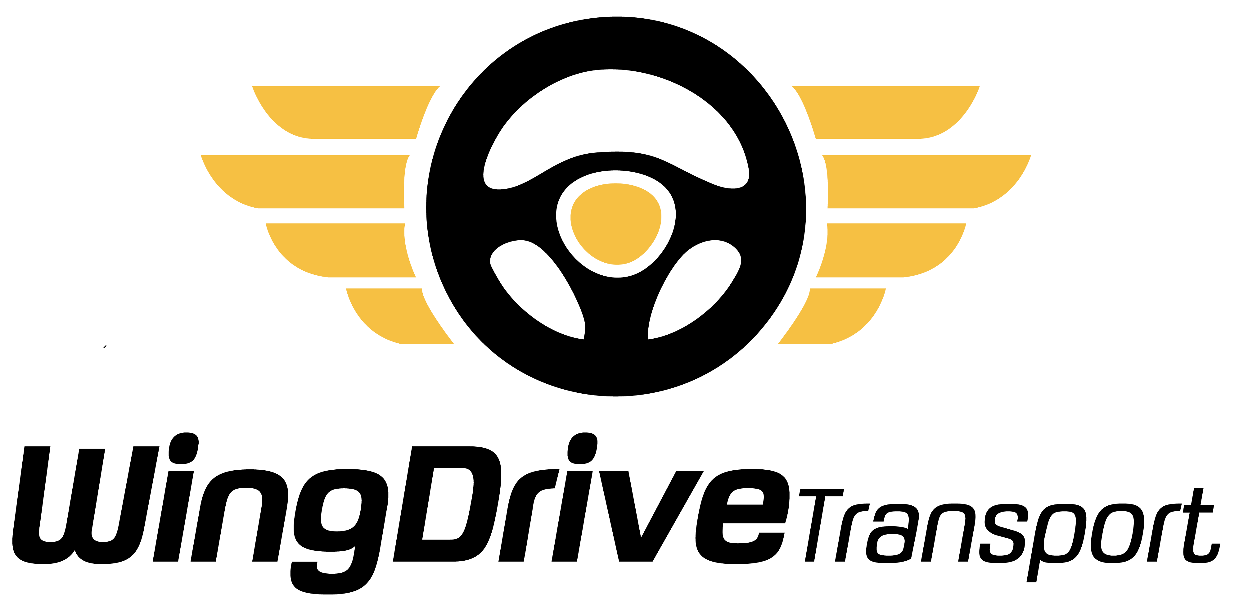 WINGDRIVE TRANSPORT